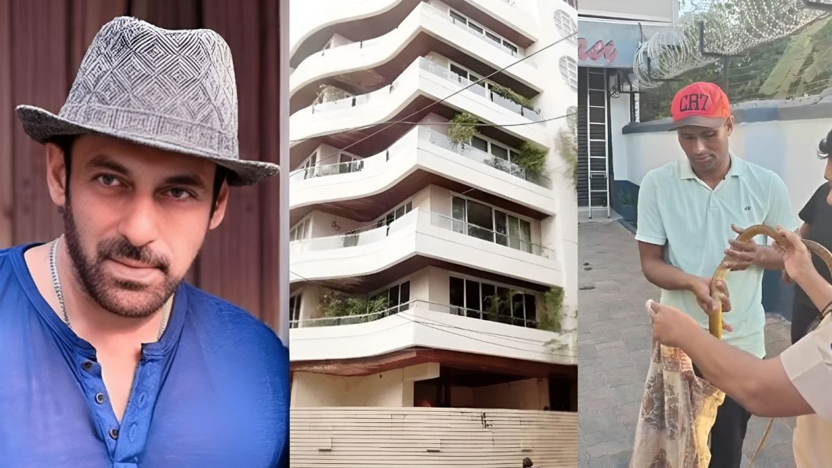 सलमान खान के गैलेक्सी अपार्टमेंट में रेंगता दिखा 5 फुट लंबा सांप, मचा हड़कंप सलमान खान के गैलेक्सी अपार्टमेंट में रेंगता दिखा 5 फुट लंबा सांप, मचा हड़कंप