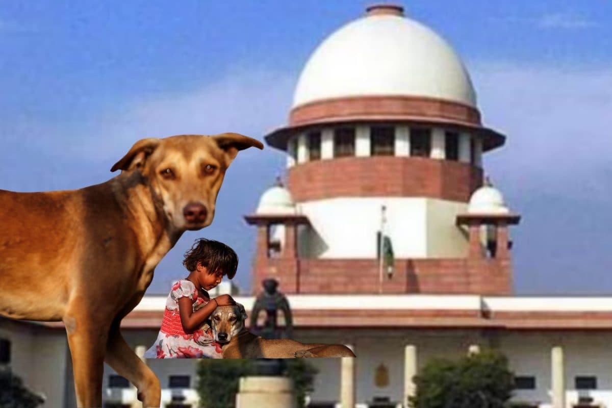 कुत्तों से डरे बिना घूमना भी अनुच्छेद 21 का हिस्सा, कैसे सुप्रीम कोर्ट ने खींच दी बड़ी लकीर