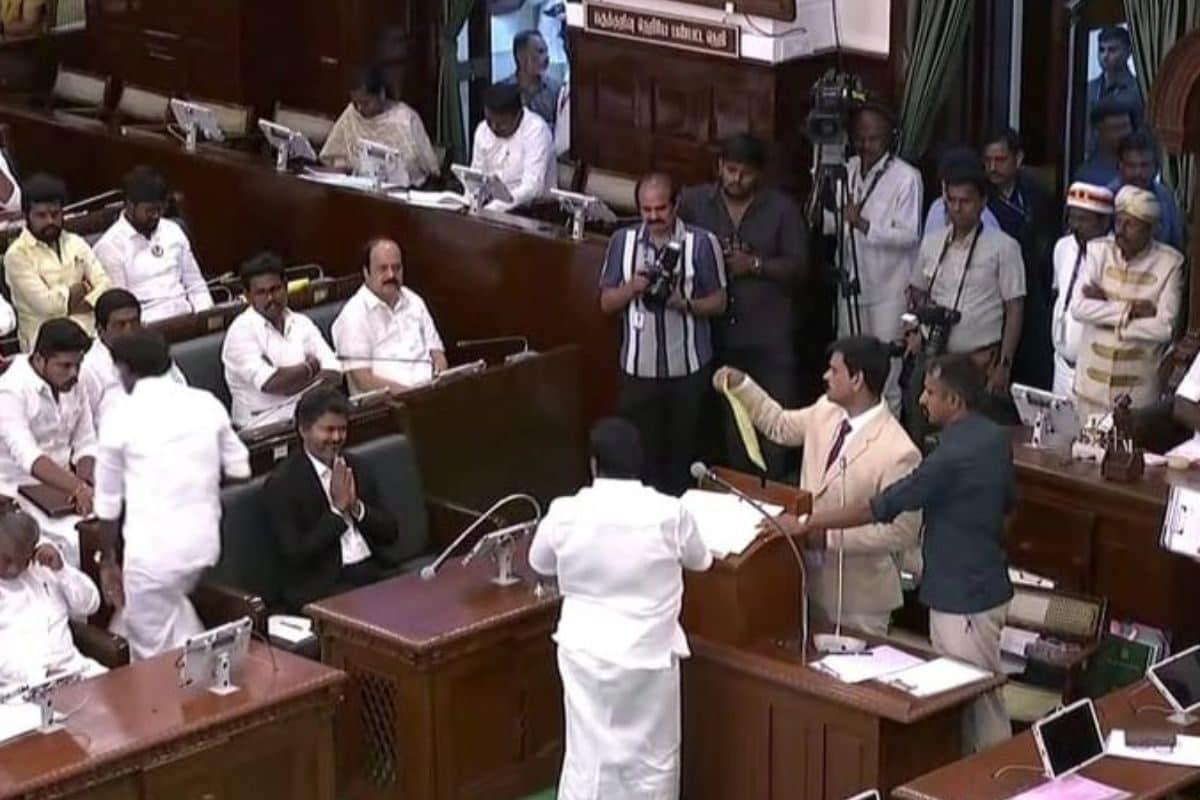 तमिलनाडु के सीएम थलापति विजय के 108 विधायकों का रिपोर्ट कार्ड वायरल, IIT इंजीनियर-डॉक्टर से लेकर वकील तक शामिल!
