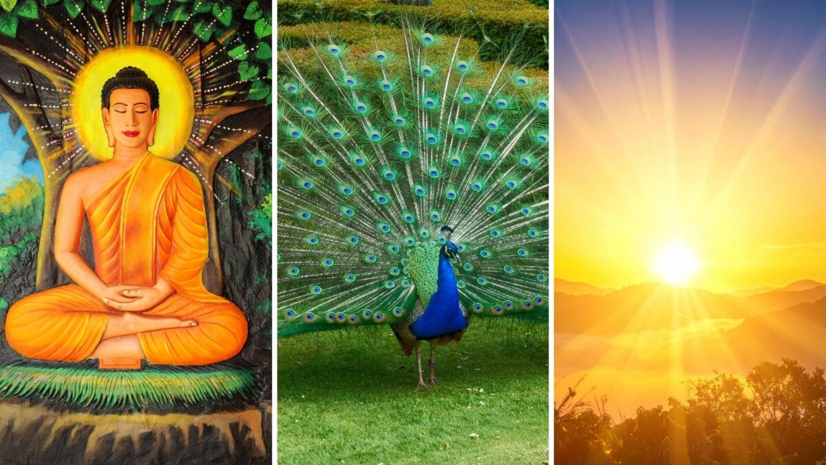 झरनों से लेकर दौड़ते घोड़ों तक… घर की समृद्धि और पॉजिटिविटी के लिए लकी मानी जाती हैं ये झरनों से लेकर दौड़ते घोड़ों तक… घर की समृद्धि और पॉजिटिविटी के लिए लकी मानी जाती हैं ये