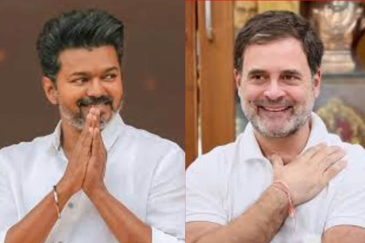 केवल राहुल और विजय के चाहने से नहीं बनेगी TVK सरकार, असल खिलाड़ी तो ये 3 दल