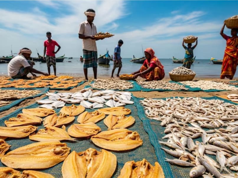 what is dried fish