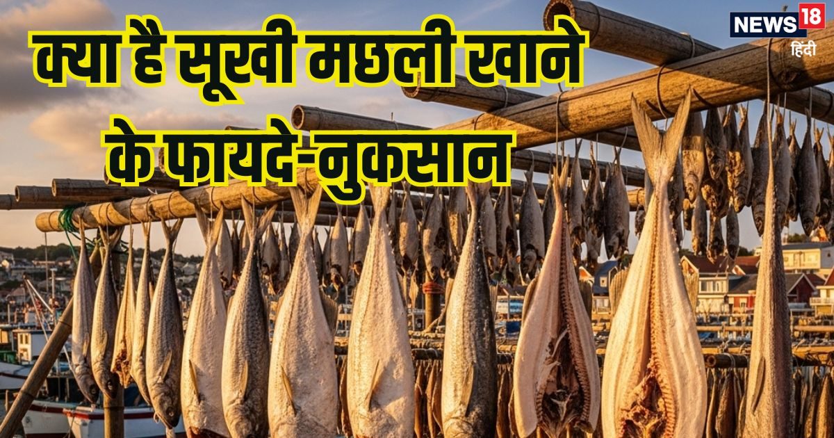 ये लोग गलती से भी न खाएं सूखी मछली, शरीर में जाते बन जाएगी जहर! जानें फायदे-नुकसान