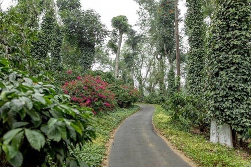 मानसून में भारत के इन 5 रूट पर लें ड्राइविंग का असली मजा, भूल नहीं पाएंगे सफर! 1781865798 22 2026 06 7591c757111df02723cd8f02db26b1b4