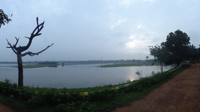 Davangere, Karnataka: It is an ultimate place for food lovers! The city is associated with the iconic Davangere benne dosa, a buttery, crispy dosa that draws visitors from across the state. If you get down at Devangere, you can explore Kunduvada Lake, Eshwara Temple, and nearby waterfall during the monsoon season. 