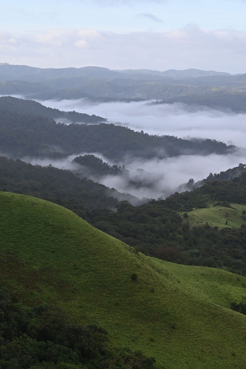 Coorg, KarnatakaOften called the "Scotland of India," Coorg is known for its coffee estates, waterfalls and forested hills. The monsoon enhances its natural beauty, filling streams and turning the landscape a vibrant green.