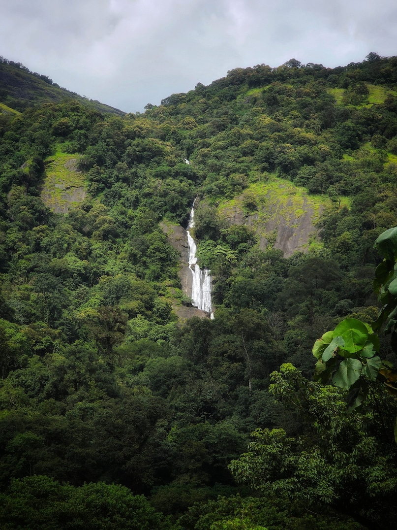 Agumbe, KarnatakaKnown as the "Cherrapunji of the South," Agumbe receives heavy rainfall and is famous for its rainforests, sunsets and rich biodiversity, including the king cobra.