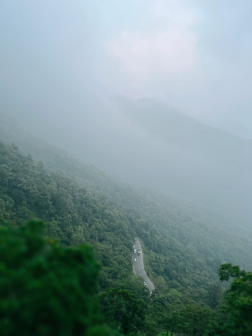 Silent Valley National Park, KeralaOne of India's most pristine rainforest ecosystems, Silent Valley becomes even more enchanting during the monsoon. Its rich flora, fauna and untouched wilderness make it a must-visit for nature enthusiasts.