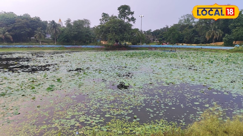 ट्रैवल