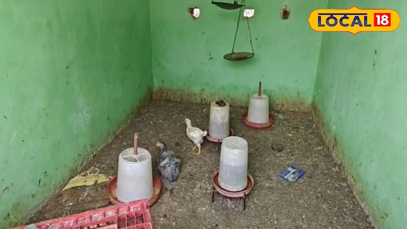 सक्सेस स्टोरी