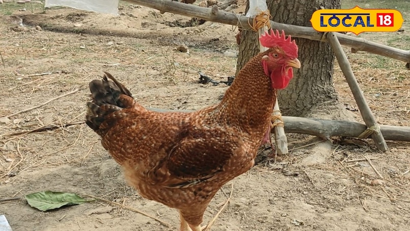 सक्सेस स्टोरी
