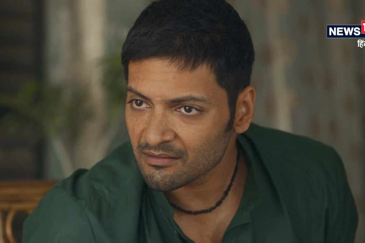 'फिल्मों पर ध्यान दो', 'मिर्जापुर' साइन करने से पहले क्यों डरे हुए थे अली फजल? कई मेकर्स ने दी थी वॉर्निंग