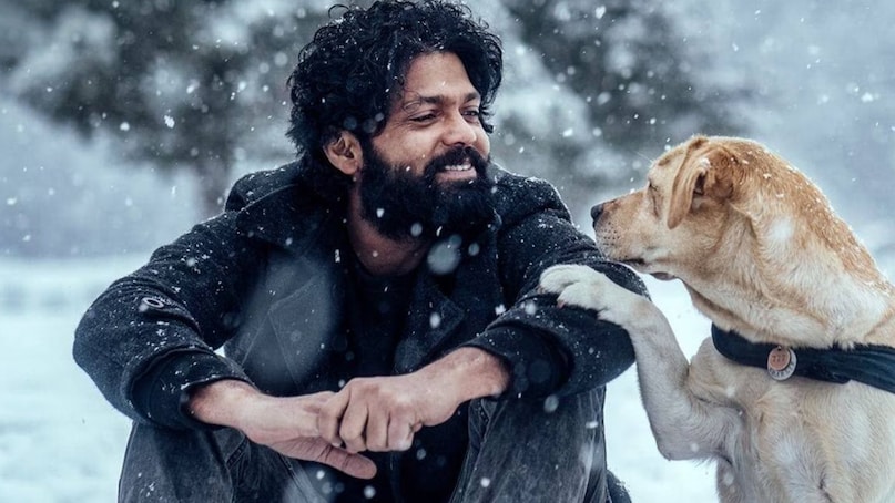 June 9 Bollywood Releases , 777 Charlie Box Office , 777 Charlie Movie blockbuster, Parineeta Movie Superhit, Shaitan Flop , Do Lafzon Ki Kahani Movie Disaster , Bollywood Box Office Report Card, बॉक्स ऑफिस रिपोर्ट कार्ड , 10 जून को रिलीज हुई फिल्में, 777 चार्ली मूवी ब्लॉकबस्टर, परिणीता मूवी सुपरहिट, शैतान फ्लॉप, दो लफ्जों की कहानी मूवी डिजास्टर