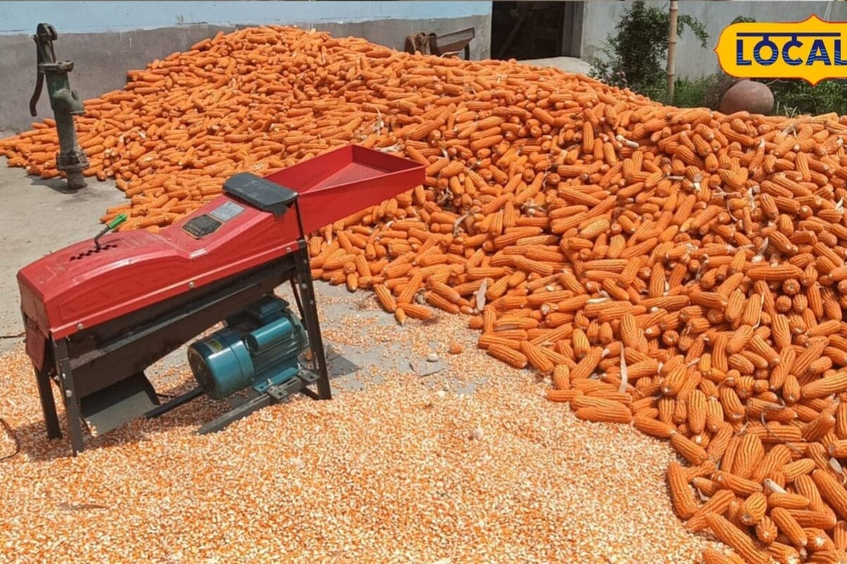 बिहार के छोटे किसानों के लिए वरदान, 14 हजार की मक्का थ्रेशिंग मशीन, 1 घंटे में 4 क्विंटल दाना, इनवर्टर से भी चले