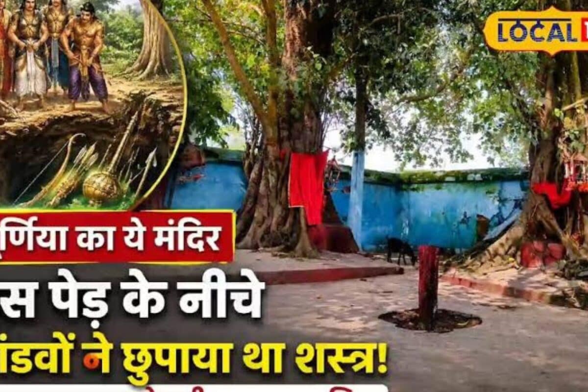 पूर्णिया में 250 साल पुराने लिपटे पीपल-बरगद का रहस्य, महाभारत काल से जुड़ी मान्यता, यहीं पांडवों ने छुपाए थे शस्त्र
