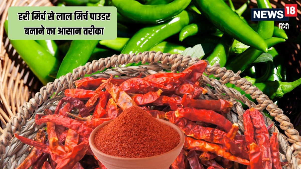 हरी मिर्च से लाल मिर्च पाउडर कैसे बनाएं? जानें आसान तरीका