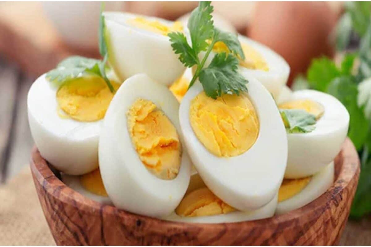 न मांस, न मछली, न अंडा... आपको पता है भारत का पहला शाकाहारी शहर? दुनिया को चौंकाता है यह स्थान