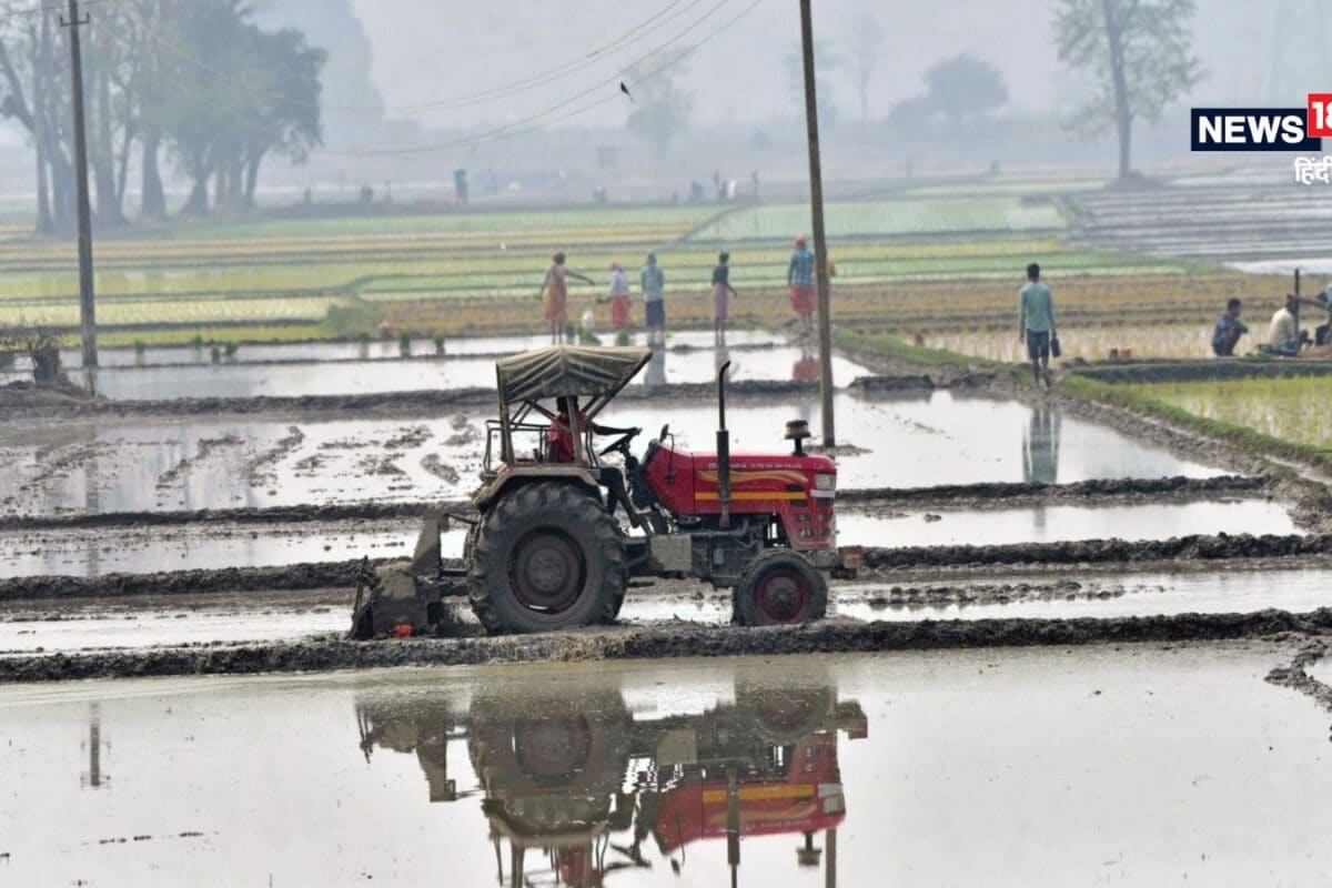 जून जा रहा सूखा क्या जुलाई-अगस्त में भी नहीं होगी बारिश मानसून पर अल नीनी का कितना प्रकोप