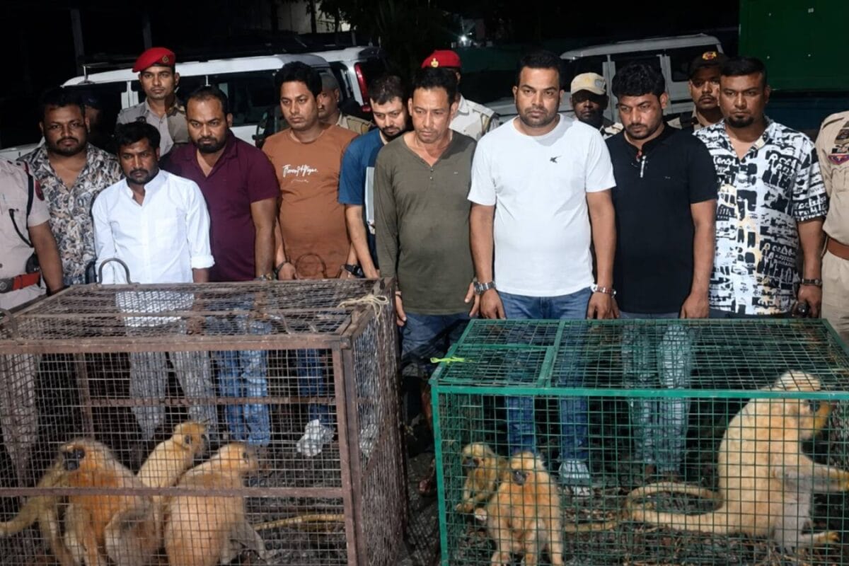 शिकारी खुद बने शिकार जंगल के दुर्लभ खजाने पर डाका डालने की थी साजिश सलाखों के पीछे पहुंचाए गए 9 दुश्मन