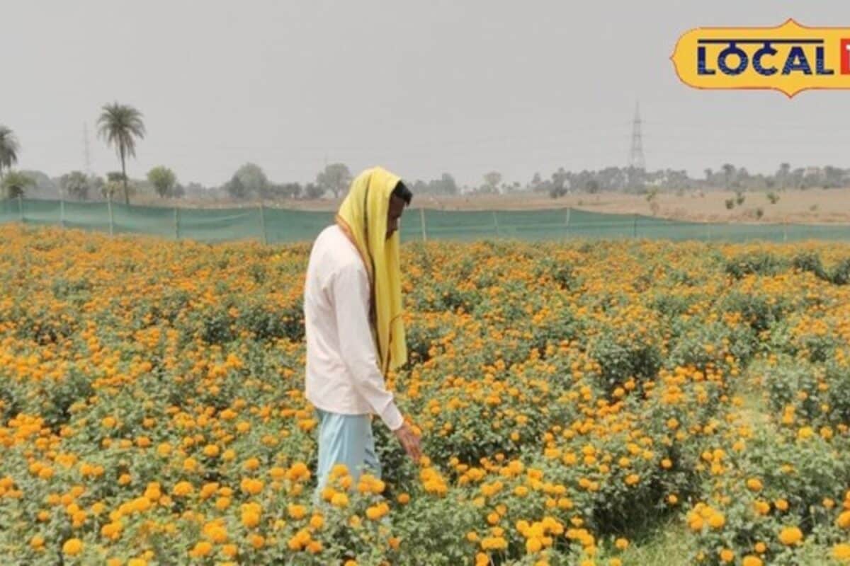 Video: बैद्यनाथ नगरी में हिट हुआ टुनटुन पंडित का बिजनेस मॉडल! हर साल 720 लाख की कमाई बदली तकदीर