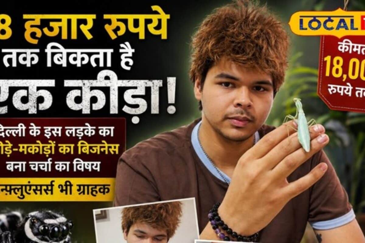 Video: 21 साल के एथन ने अकेलेपन ने बनाया बिजनेस! अब बेच रहा 18 हजार की मकड़ी अनोखी है कहानी