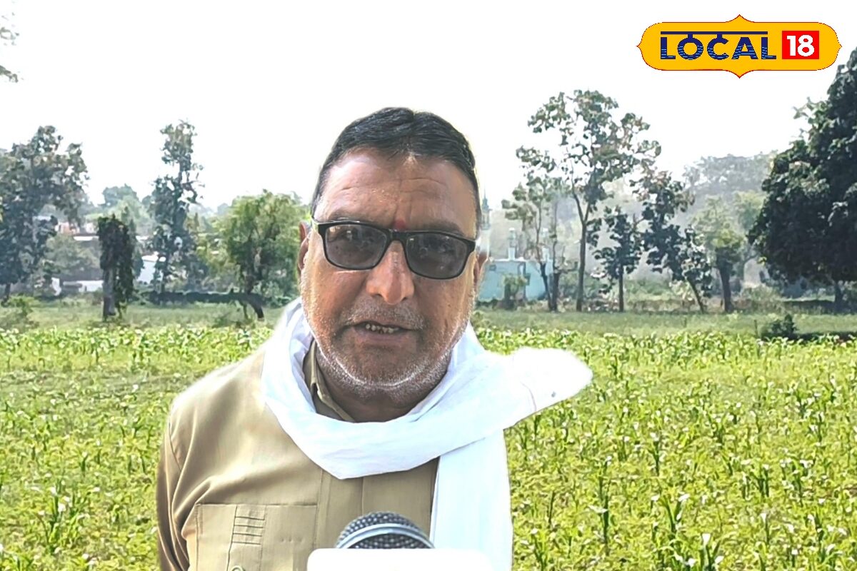 जून में लगाएं ये 4 फसलें, 20 हजार की लागत से 4 महीने में हो सकती है लाखों की कमाई