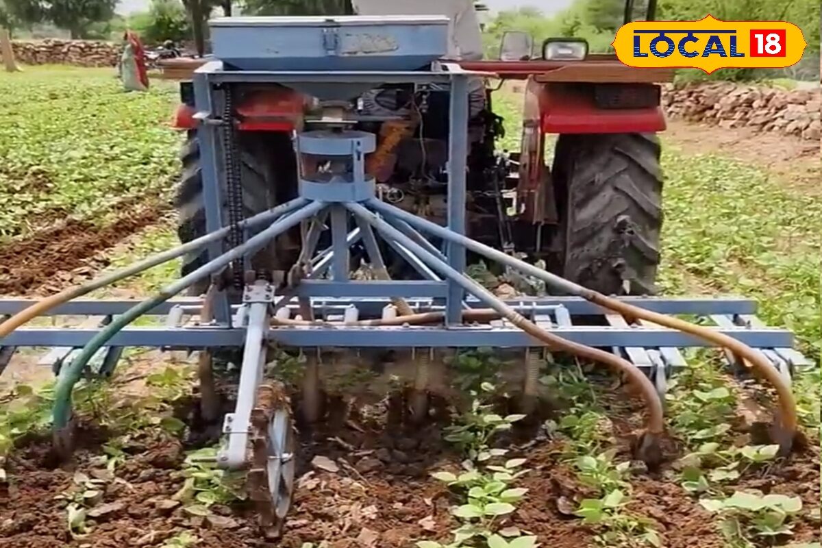 Agriculture Tips: मूंग की खेती किसानों के लिए फायदे का सौदा, बुवाई से कटाई तक अपनाएं ये वैज्ञानिक तरीके