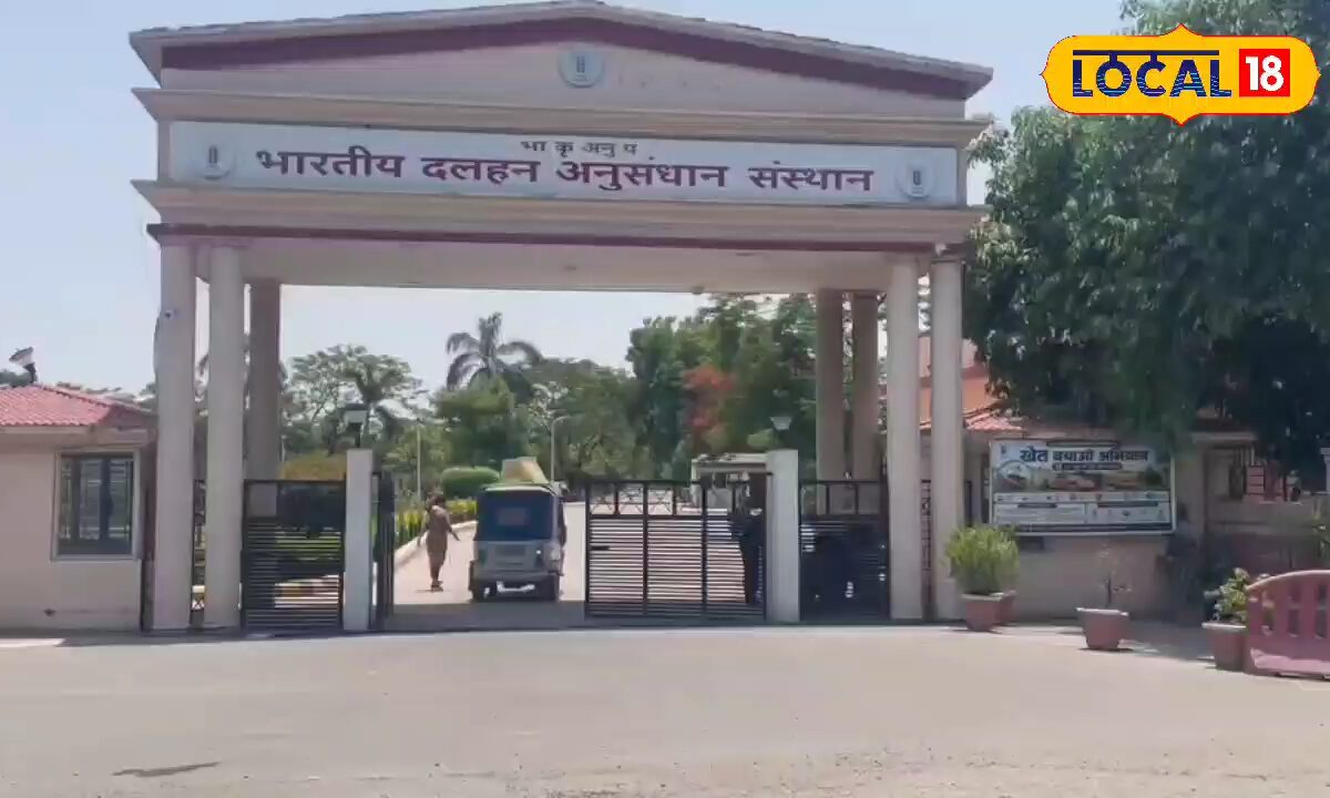 मिट्टी के रोग नहीं बिगाड़ेंगे फसल, कानपुर के वैज्ञानिकों ने बनाया खास बायोपेस्टीसाइड, किसानो की मिलेगी राहत, जाने