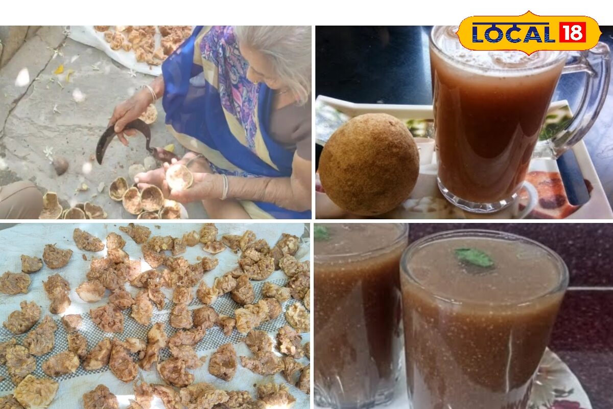 इस फल की ड्रिंक से लू भागती कोसों दूर, मिनटों में होती है तैयार, एक्सपर्ट से जानें और भी फायदे