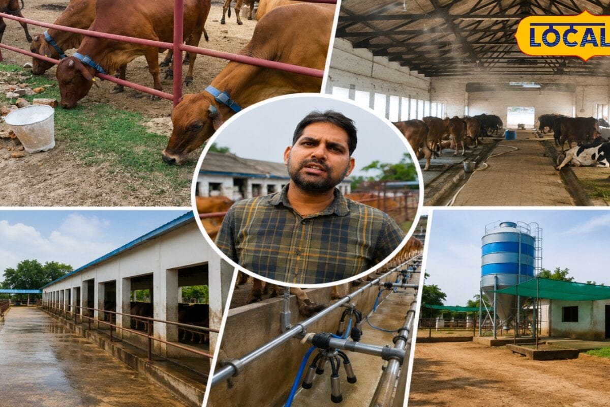 डेयरी के धंधे में नहीं होगा ₹1 का घाटा! फार्म खोलने से पहले नोट करें एक्सपर्ट के ये 6 सीक्रेट्स, होगा मुनाफा