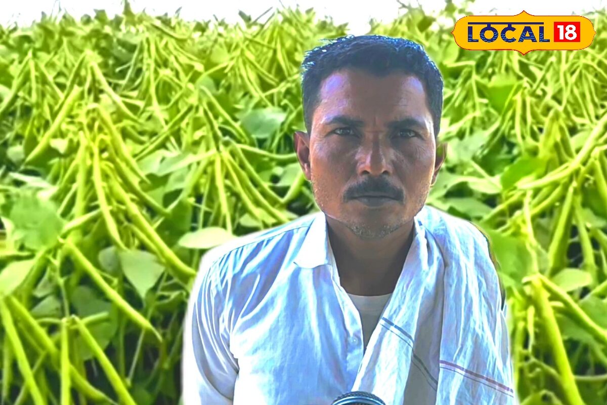 ससुराल से मिला खेती का आइडिया, किराए पर 35 एकड़ जमीन लेकर लगाया फसल,  अब हर साल कमा रहा लाखों रुपये