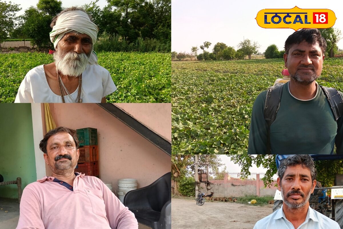 एक ही गांव, एक जैसी जमीन... फिर भी किसी किसान को मिल रहे 6 हजार, तो किसी की किस्त क्यों हुई बंद? जानिए बड़ा कारण