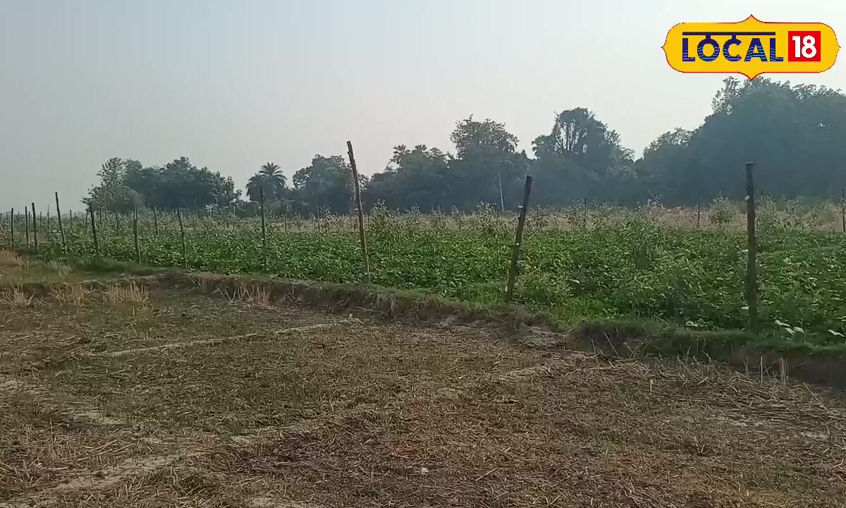 खेती के भविष्य को बदलने के लिए गोरखपुर विश्वविद्यालय में शोध पर जुटी छात्रा नेहा व दिव्या, हार्वेस्टिंग डेवलपमेंट, जाने