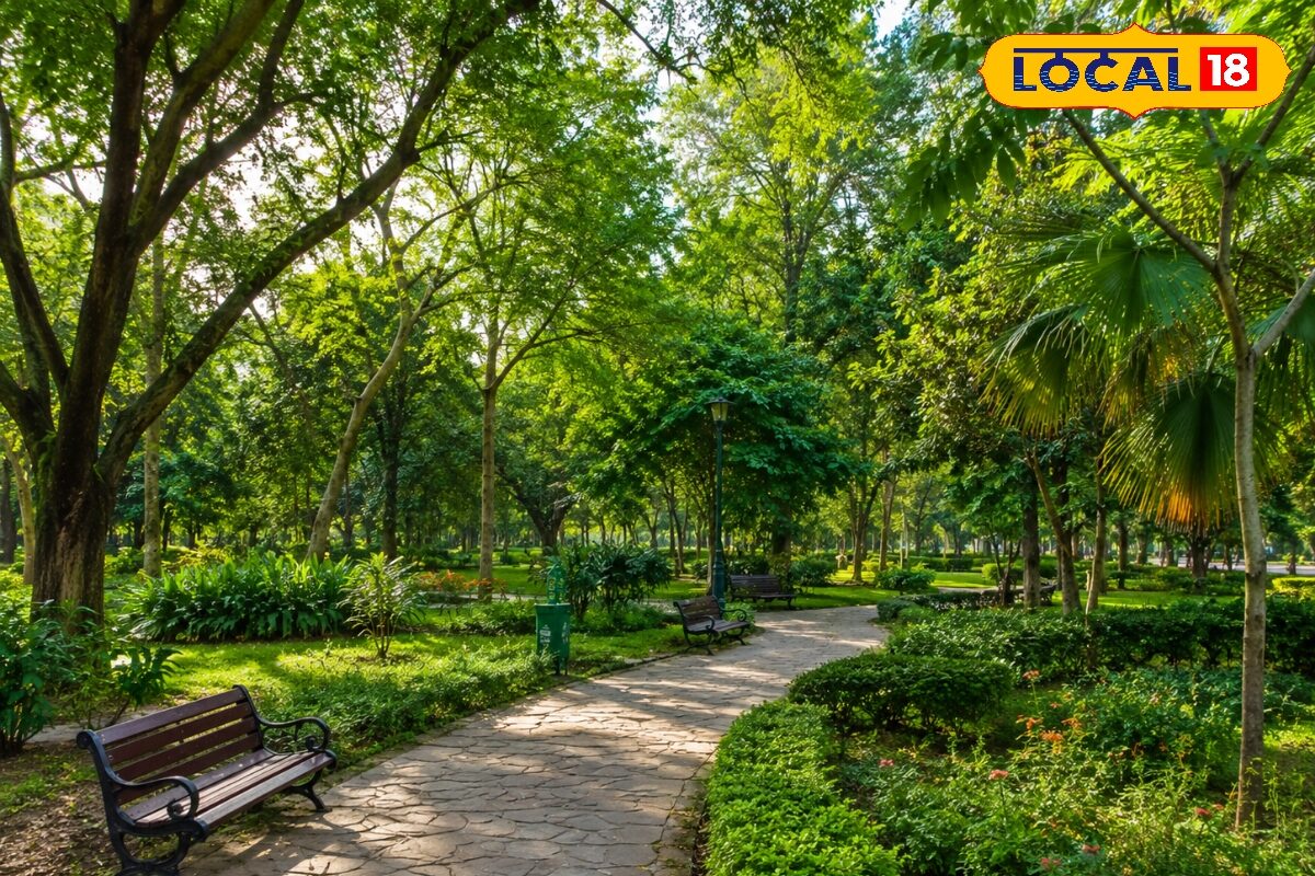 दिल्ली में छिपे हैं ये 5 खूबसूरत ग्रीन पार्क, यहां पहुंचते ही तुरंत मिलती है गर्मी से राहत, एक बार जाएंगे तो बार-बार करेगा मन