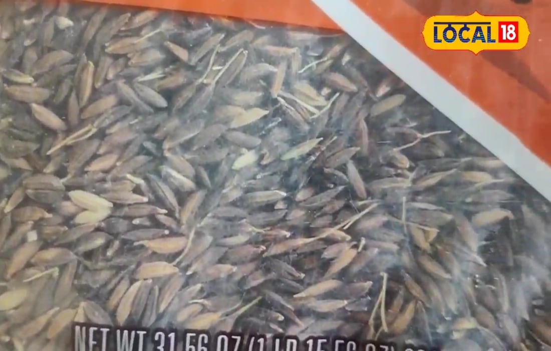 40 नहीं, 200 रुपये किलो बिकता है ये खास चावल! पलामू के किसान बदल रहे खेती की तस्वीर