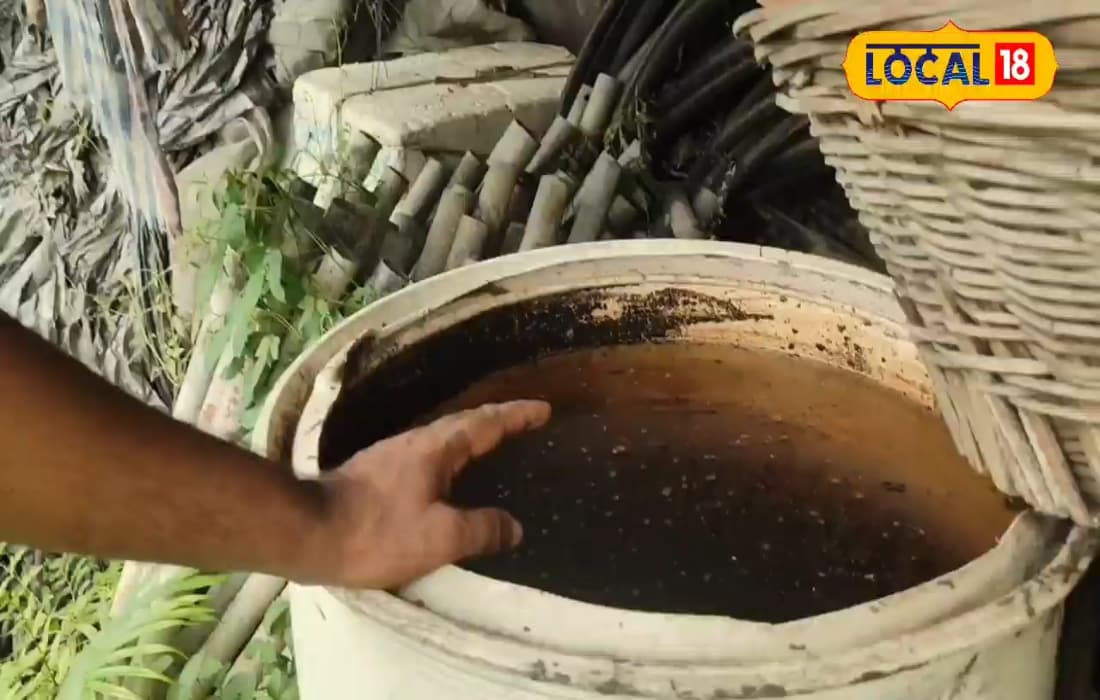 लोगों की सेहत और किसानों का पैसा बचाएगी ये खाद, खुद से कर सकते हैं तैयार, बेचकर करें कमाई