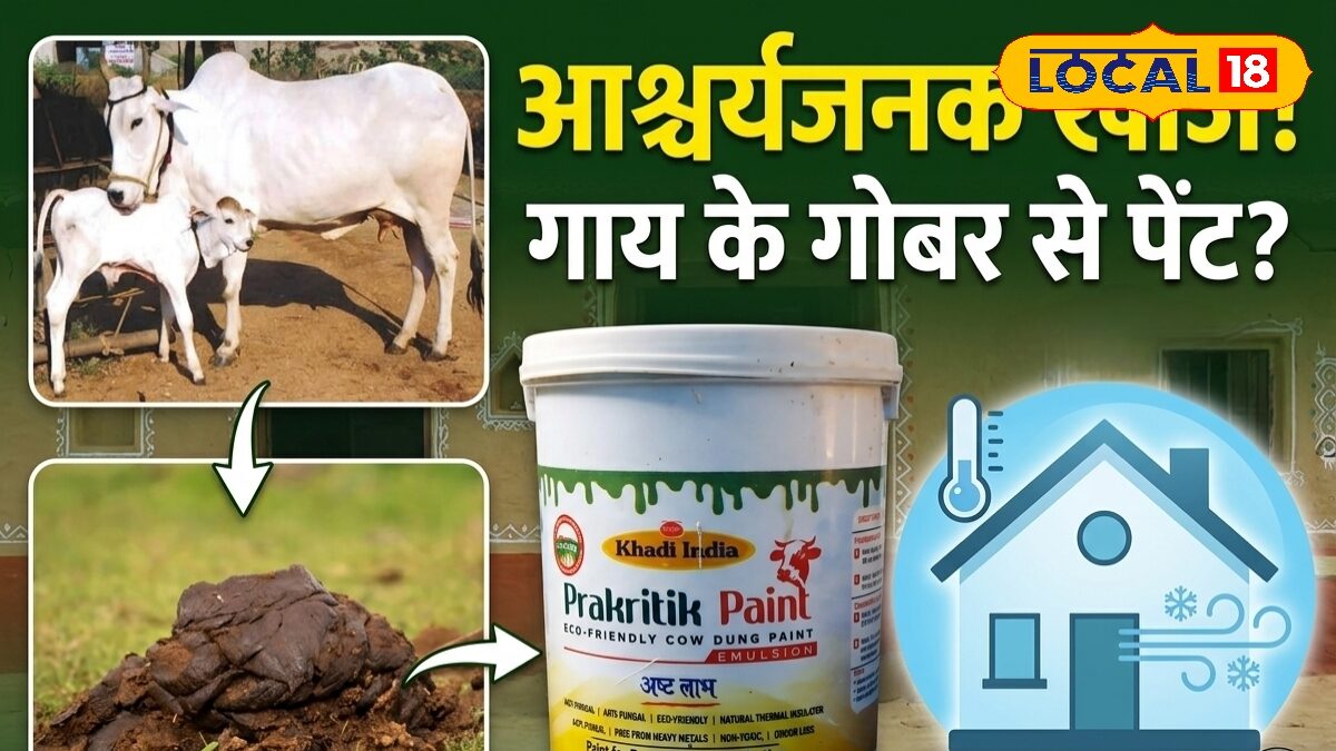बिना AC-कूलर के भी घर रहेगा कूल! आजमगढ़ में देसी गाय के गोबर से तैयार हो रहा प्राकृतिक पेंट, जो घर को रखेगा 4 डिग्री तक ठंडा बिना AC-कूलर के भी घर रहेगा कूल! आजमगढ़ में देसी गाय के गोबर से तैयार हो रहा प्राकृतिक पेंट, जो घर को रखेगा 4 डिग्री तक ठंडा