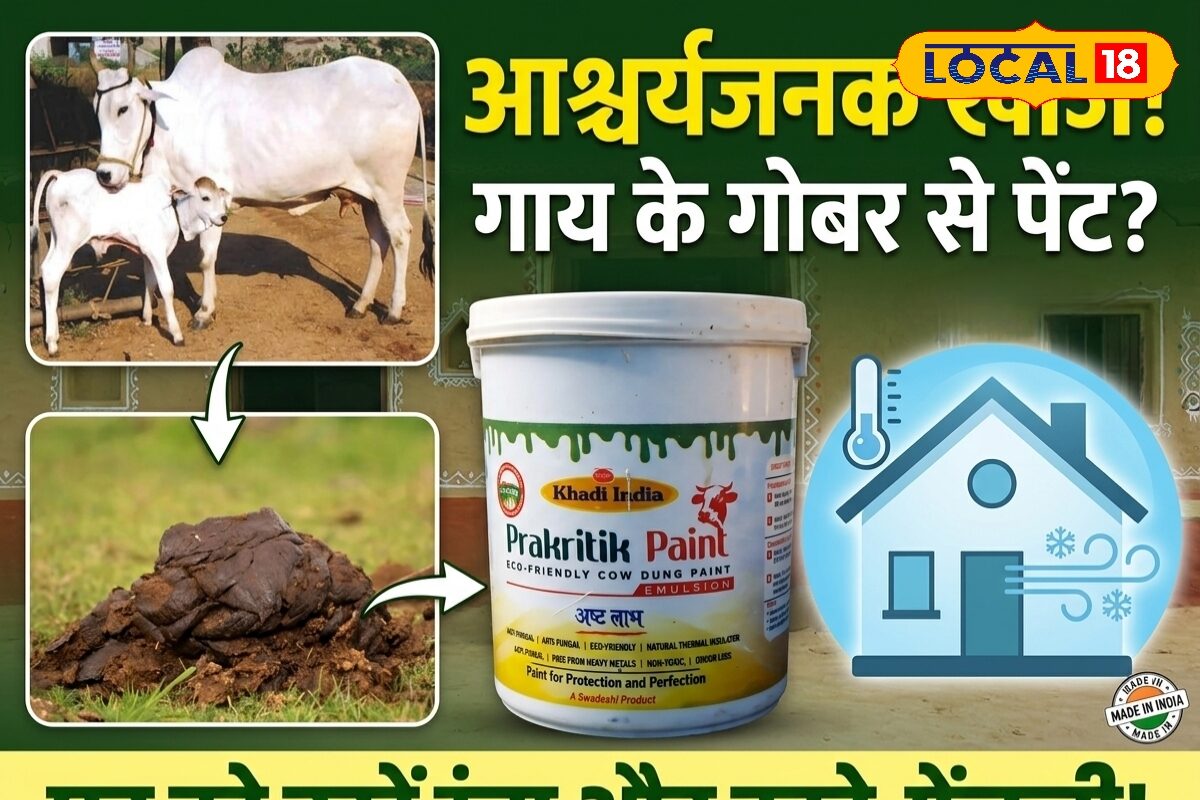 बिना AC-कूलर के भी घर रहेगा कूल! आजमगढ़ में देसी गाय के गोबर से तैयार हो रहा प्राकृतिक पेंट, जो घर को रखेगा 4 डिग्री तक ठंडा