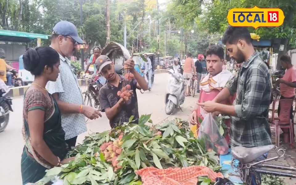 काजू से भी महंगा बिक रहा मुजफ्फरपुर का यह फल! 1200 रुपये सैकड़ा पहुंची कीमत, विदेशों में भी भारी डिमांड