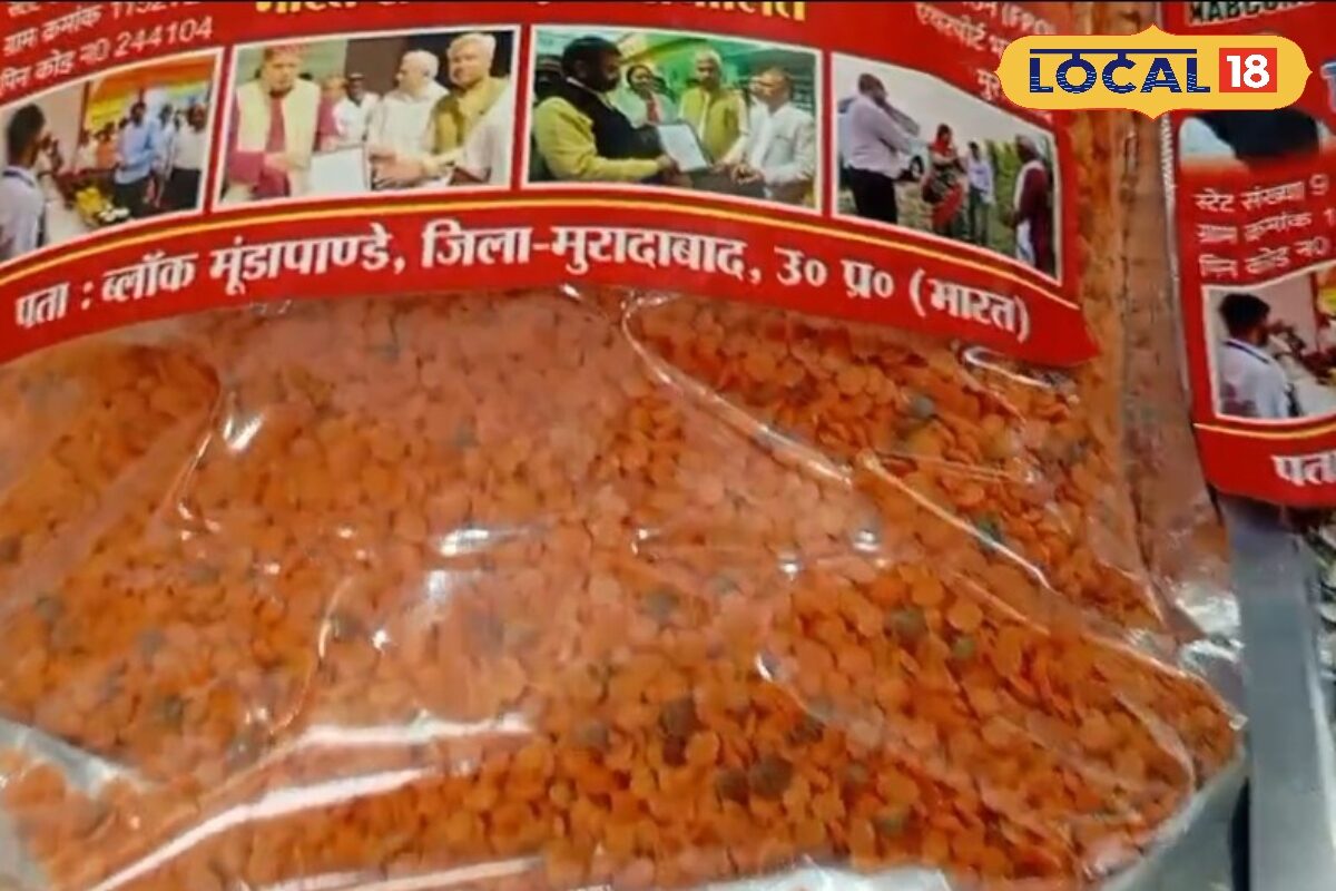 25 बीघा खेत में किसान अश्वनी उगाते हैं 10 प्रकार की ऑर्गैनिक दालें, बाजार में मिलती है अच्छी कीमत, होती है बंपर कमाई