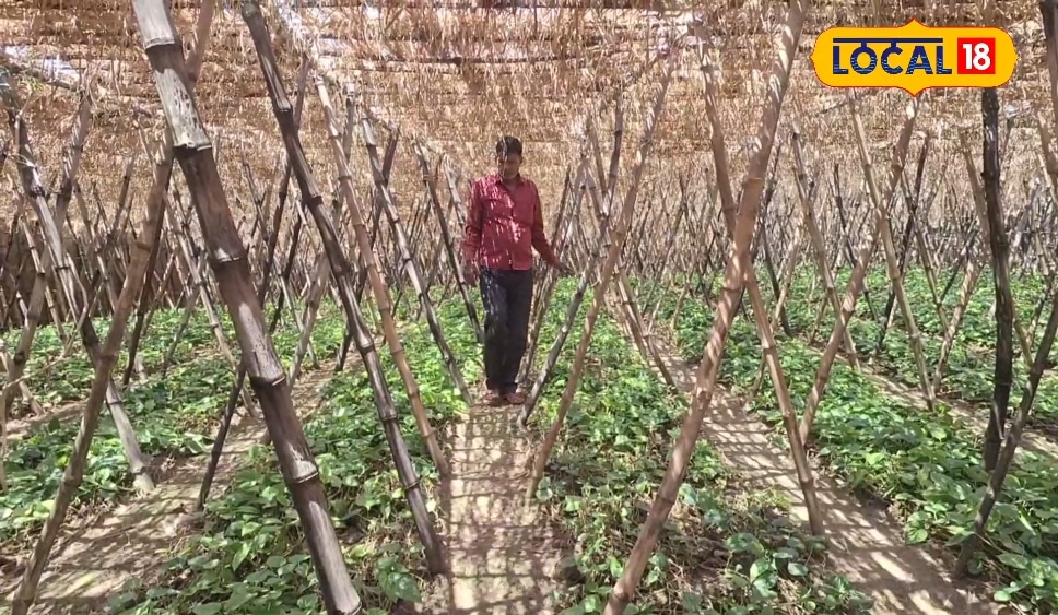 पीएम किसान सम्मान निधि की अगली किस्त चाहिए, तो 30 जून से पहले पूरा करें यह काम वरना होगा नुकसान
