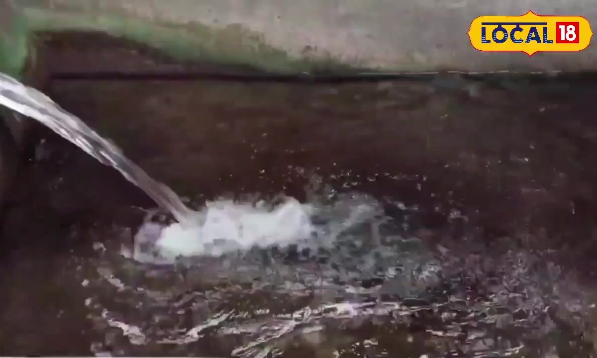 मछली पालकों के लिए नई सरकारी सब्सिडी योजनाएं, तालाब पट्टे, नाव, जाल, एरेशन सिस्टम पर अनुदान, जाने आवेदन की पूरी जानकारी
