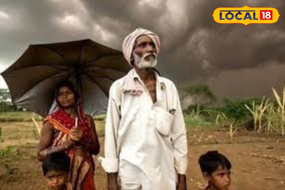 एलनीनो का खतरा! कृषि विभाग ने किसानों को दी चेतावनी सिर्फ धान पर न रहें निर्भर