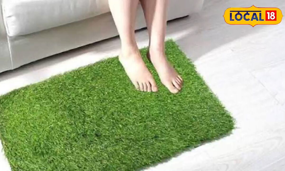 Doormat Vastu Rules: क्या पायदान से आती है दरिद्रता ज्योतिषाचार्य से जानिए सही दिशा और रंग
