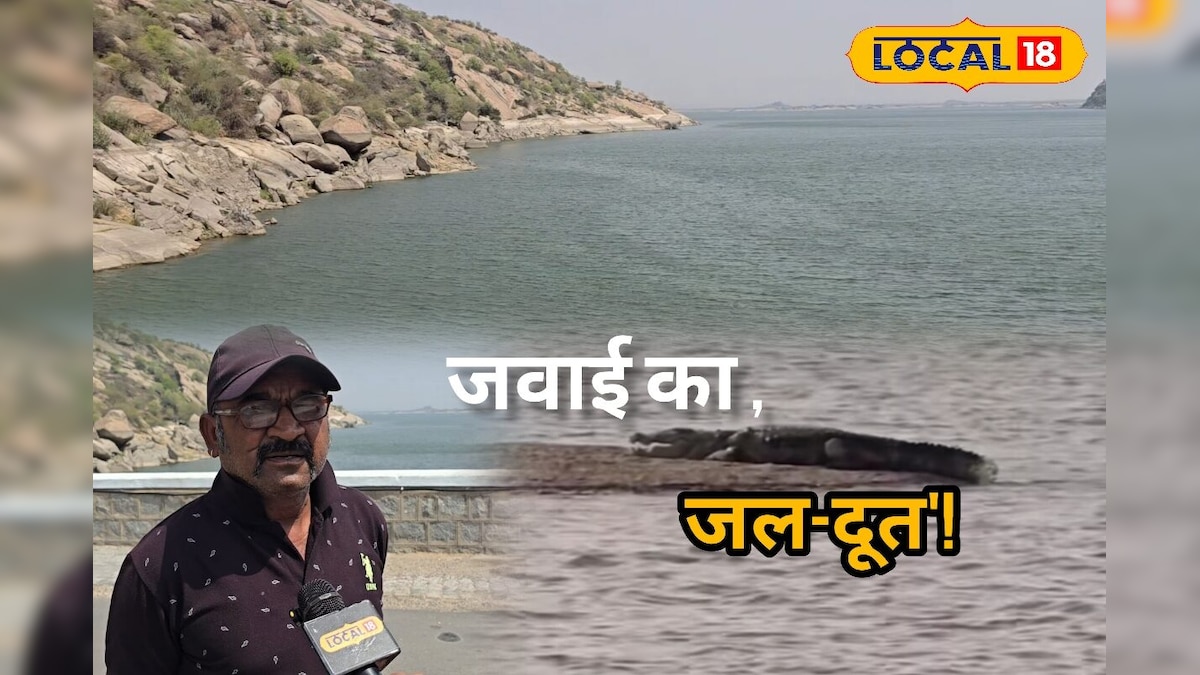 मगरमच्छों के बीच मौत से मुकाबला, 35 साल से लोगों की जिंदगी बचा रहे हैं हरिभाई