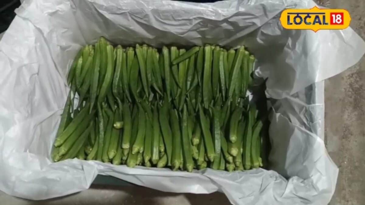 किसानों की चमकेगी किस्मत! दुबई और सिंगापुर के बाजारों में बिकेंगी जौनपुर की सब्जियां, पहली खेप रवाना किसानों की चमकेगी किस्मत! दुबई और सिंगापुर के बाजारों में बिकेंगी जौनपुर की सब्जियां, पहली खेप रवाना