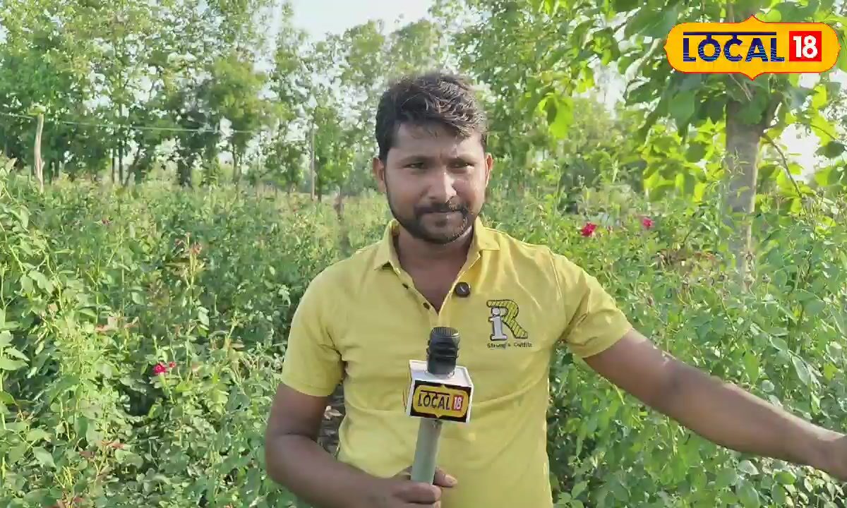 गोंडा के सुनील ने बदली अपनी किस्मत, आलू-टमाटर छोड़ 1 बीघा में लगाए गुलाब, अब कमा रहे लाखों