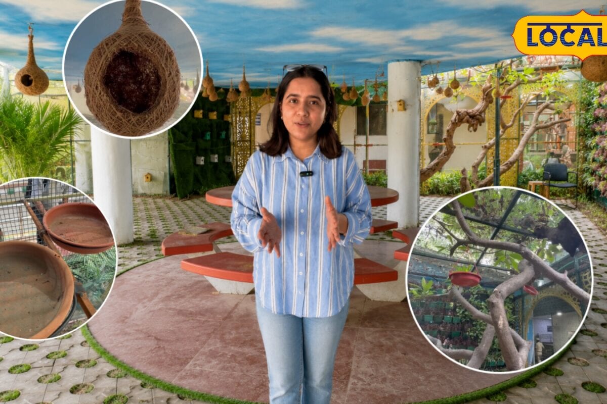 दिल्ली में हुआ गजब काम फ्लाईओवर के नीचे बना दिया पक्षियों का मकान देखते ही मिलेगा दिल को सुकून