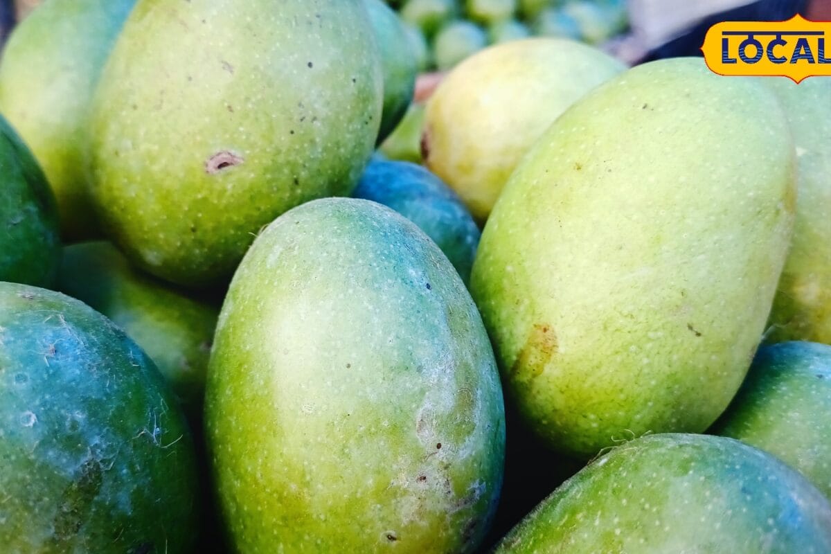 रुदावल का ककड़ी आम बना पहचान स्वाद और कमाई दोनों में दे रहा दमदार मिठास