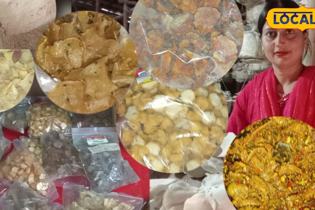 एक फसल कई प्रोडक्ट्स और बंपर मुनाफा! मशरूम ने बदल दी मधुबनी के स्वाति की किस्मत
